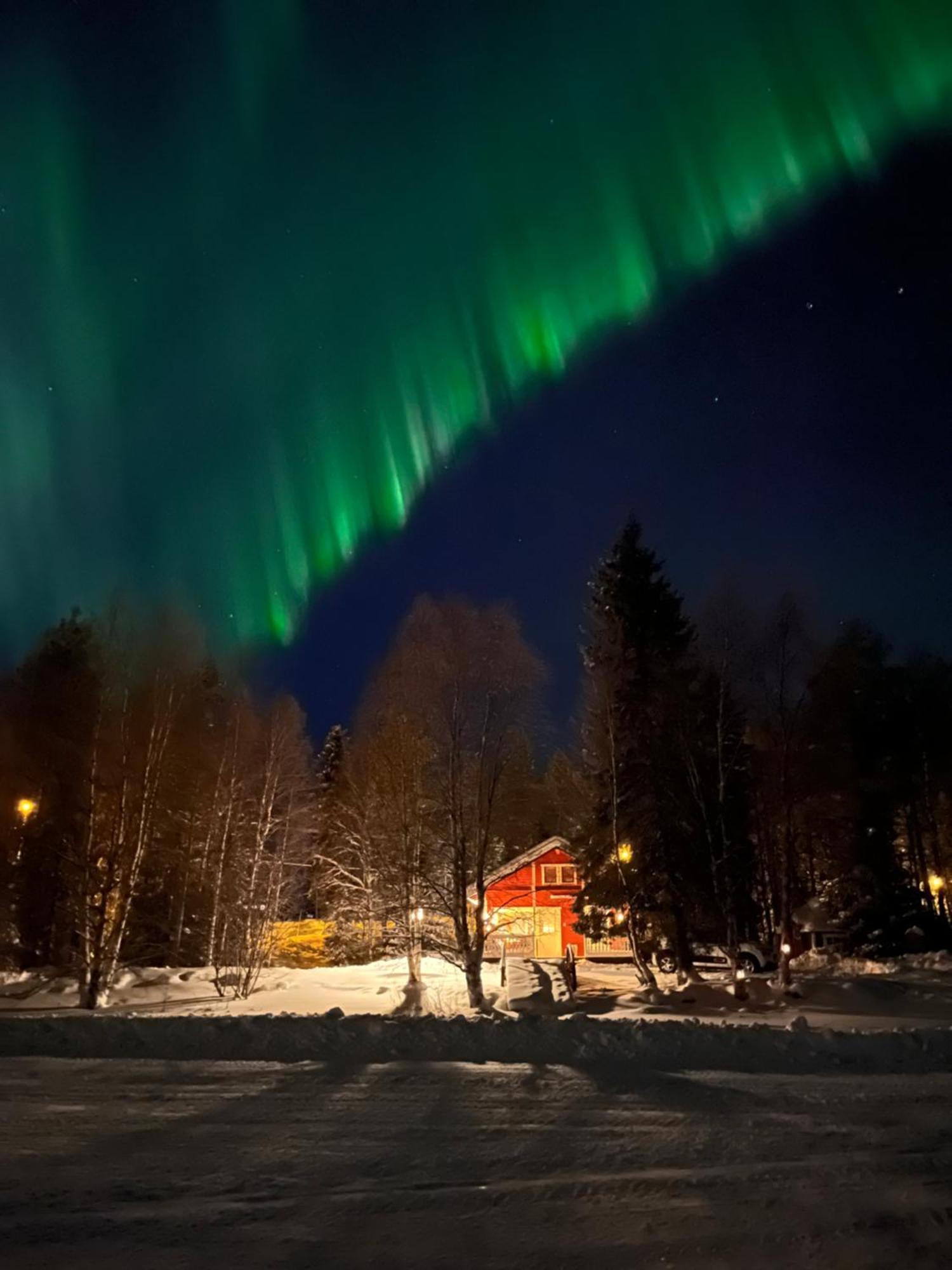 Vikajaervi Lake View Experience Igloos Rovaniemi Luaran gambar