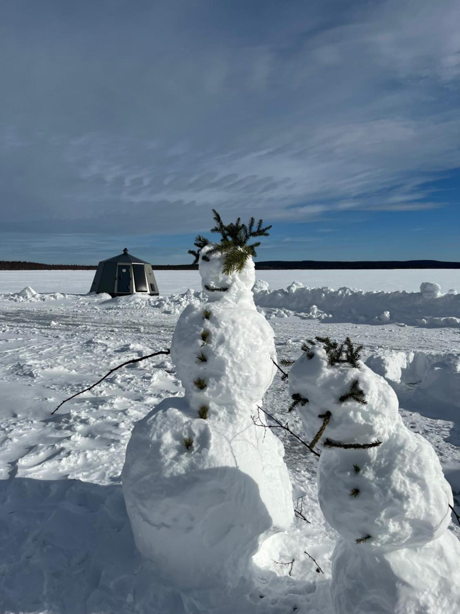 Vikajaervi Lake View Experience Igloos Rovaniemi Luaran gambar